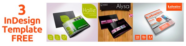 3INDESIGNTEMPLATE